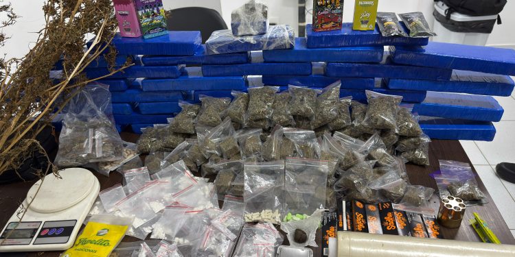 CORP apreende cerca de 20 quilos de drogas e prende suspeito de tráfico em São José dos Pinhais