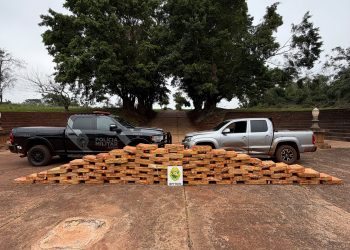 BPFRON apreende mais de 1,2 tonelada de maconha e recupera caminhonete roubada