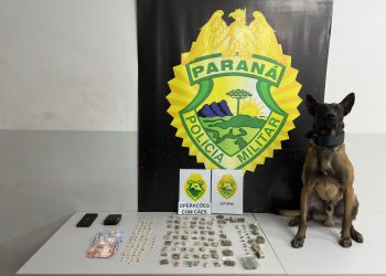 Equipe K9 do 23º Batalhão prende homem por tráfico de drogas com apoio de cão farejador na CIC
