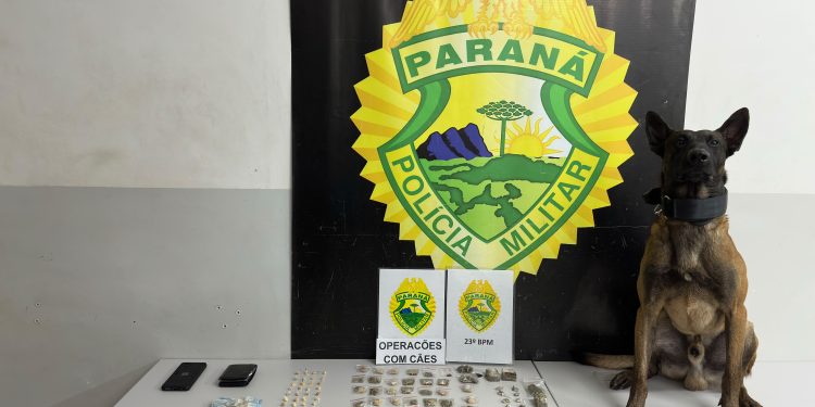 Equipe K9 do 23º Batalhão prende homem por tráfico de drogas com apoio de cão farejador na CIC