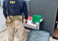 PRF apreende maconha e revólver com passageiro de ônibus na BR-277