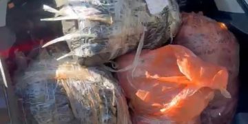 PRF recupera veículo roubado carregado com drogas após sete horas de buscas e prende traficante na BR-277