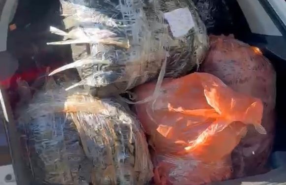 PRF recupera veículo roubado carregado com drogas após sete horas de buscas e prende traficante na BR-277