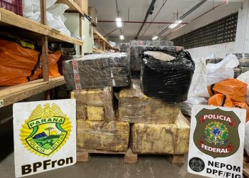 Mais de 2,6 toneladas de maconha são apreendidas em operações da PM no Oeste do Paraná