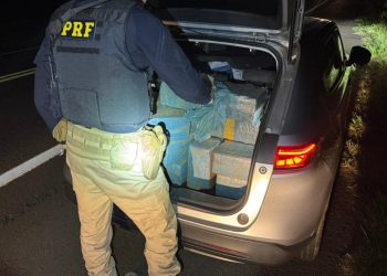 PRF apreende mais de 400 quilos de maconha após acompanhamento tático