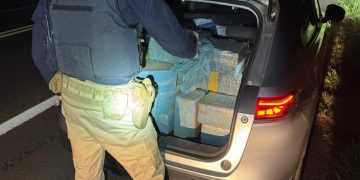 PRF apreende mais de 400 quilos de maconha após acompanhamento tático