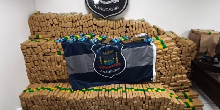 Guarda Municipal apreende 1750 kg de maconha após denúncia em área rural de Araucária