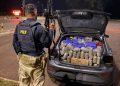 PRF apreende quase meia tonelada de maconha em carro clonado após fuga na BR-277