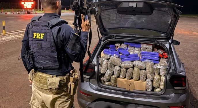 PRF apreende quase meia tonelada de maconha em carro clonado após fuga na BR-277