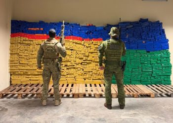 BPFRON e Polícia Federal apreendem mais de 2 toneladas de maconha escondidas sob carga de feno no Paraná