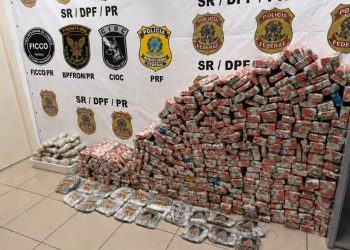 Ação integrada apreende 319 quilos de maconha e prende indivíduo em BMW após fuga na BR-277