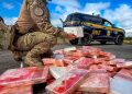 PRF apreende quase 100 kg de cocaína escondidos em carreta no Paraná