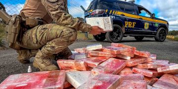PRF apreende quase 100 kg de cocaína escondidos em carreta no Paraná