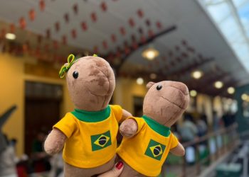Crianças poderão criar a sua própria capivara vestida com camiseta do Brasil, em oficina no Shopping Estação
