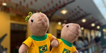 Crianças poderão criar a sua própria capivara vestida com camiseta do Brasil, em oficina no Shopping Estação