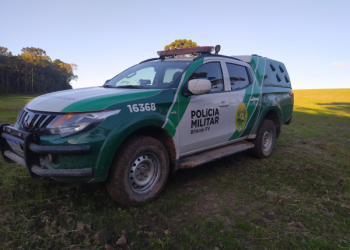 Polícia Militar utiliza imagens de satélite e identifica desmatamento ilegal na Lapa