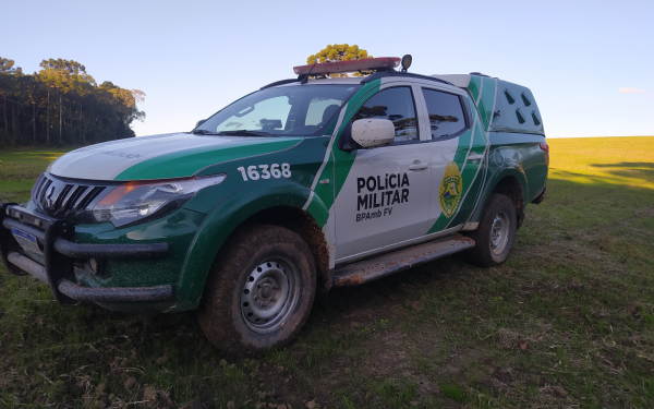 Polícia Militar utiliza imagens de satélite e identifica desmatamento ilegal na Lapa