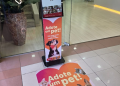 Shoppings nos bairros Hauer e Portão passam a contar com totens da Prefeitura para promover a adoção de cães e gatos