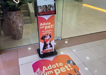 Shoppings nos bairros Hauer e Portão passam a contar com totens da Prefeitura para promover a adoção de cães e gatos