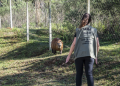 Capivara machucada no Parque Tingui é resgatada pela Secretaria Municipal do Meio Ambiente e receberá tratamento