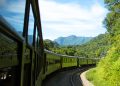 Trem da Serra do Mar Paranaense amplia operação em julho e espera mais de 30 mil visitantes no período