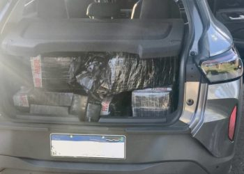 PRF apreende mais de 300 quilos de maconha e cocaína após acompanhamento tático na BR-277