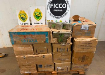 Ação integrada apreende mais de 720 quilos de maconha na BR-277, em Foz do Iguaçu