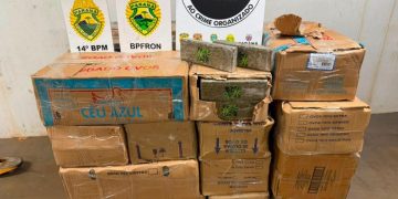 Ação integrada apreende mais de 720 quilos de maconha na BR-277, em Foz do Iguaçu