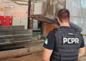 Polícia Civil incinera mais de 1,5 tonelada de drogas apreendidas no Paraná