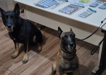 ROTAM e CIOC prendem homem por tráfico de drogas durante operação em Pontal do Paraná
