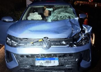 Pedestre morre após ser atropelado na PR-862