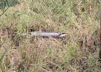 Carro capota em barranco na PR-170 e deixa 4 feridos