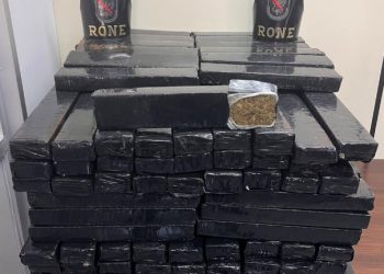 Operação integrada apreende cerca de 170 quilos de maconha e prende casal em Campo Largo