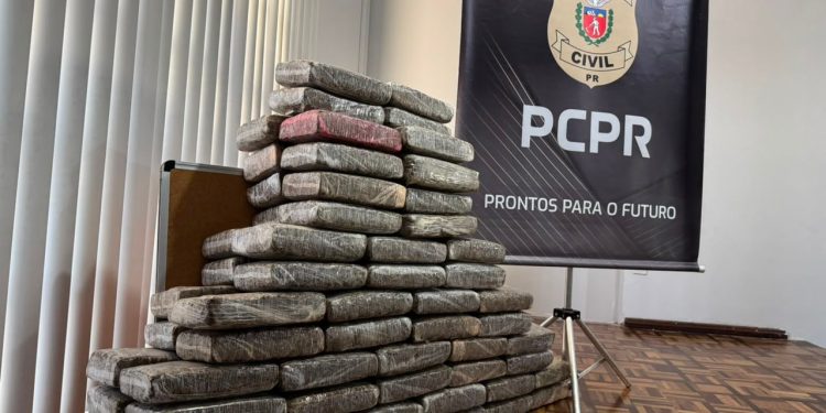 PCPR prende mulher e apreende 92 quilos de maconha em Curitiba
