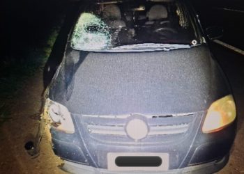 Pedestre morre atropelado na PR-444, em Apucarana