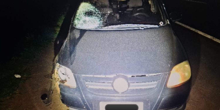 Pedestre morre atropelado na PR-444, em Apucarana