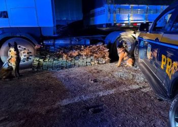 PRF apreende quase 300 quilos de cocaína escondidos em tanque de carreta na Grande Curitiba