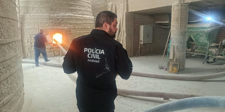 PCPR incinera mais de meia tonelada de maconha em Colombo