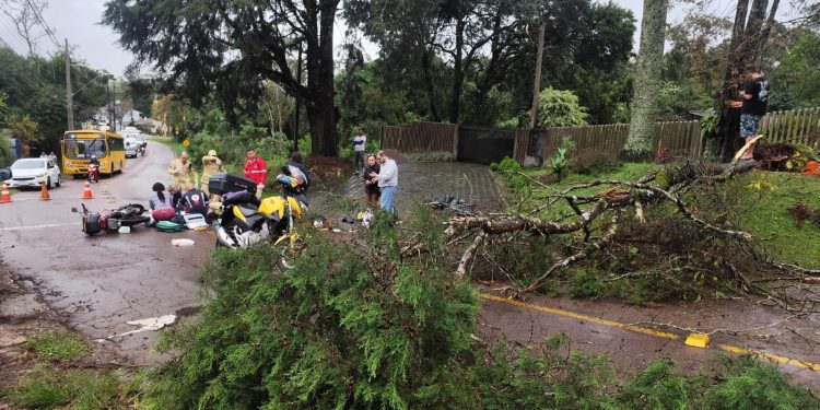 Dupla em moto fura isolamento durante corte de árvore e é atingido por queda em Curitiba