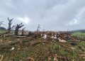 Simepar classifica tornado de Piraí do Sul como F3, com ventos de até 332 km/h