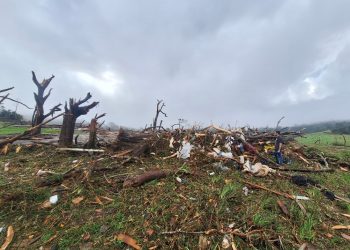 Simepar classifica tornado de Piraí do Sul como F3, com ventos de até 332 km/h