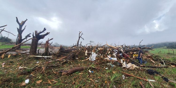 Simepar classifica tornado de Piraí do Sul como F3, com ventos de até 332 km/h