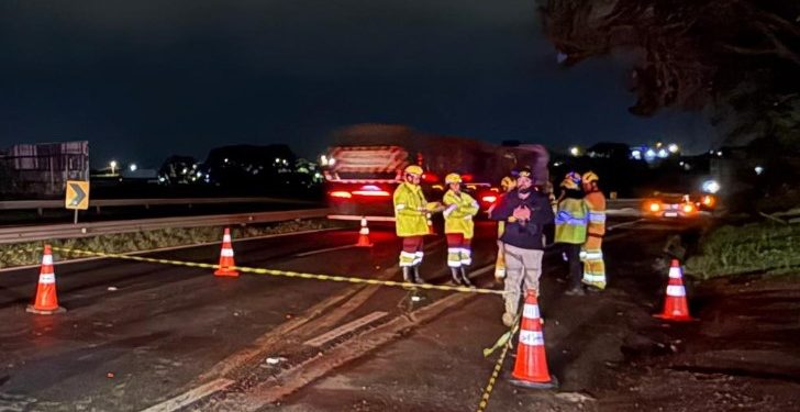 Pedestre morre atropelado na BR-376 e motorista foge sem prestar socorro em Ponta Grossa