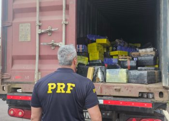PRF apreende mais de 6,4 toneladas de maconha em caminhão na BR-163