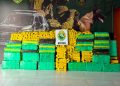 BPFRON apreende mais de 800 quilos de maconha e prende motorista de caminhonete