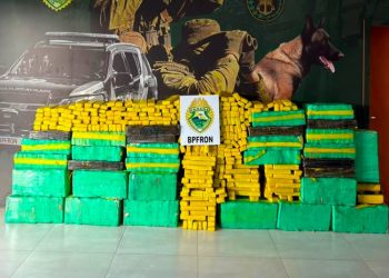 BPFRON apreende mais de 800 quilos de maconha e prende motorista de caminhonete