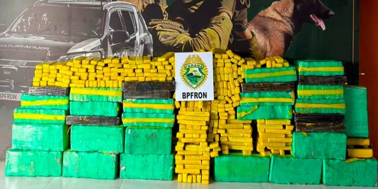 BPFRON apreende mais de 800 quilos de maconha e prende motorista de caminhonete