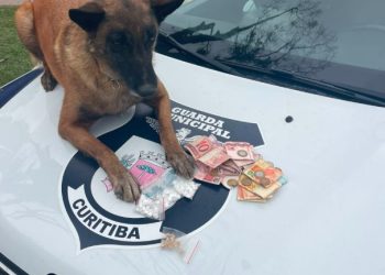 Após ser preso traficando, indivíduo pede para usar droga pela última vez pois sabe que irá morrer