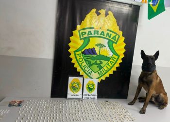 K9 da PM prende dois homens com drogas e cumpre dois mandados de prisão na CIC