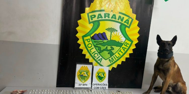 K9 da PM prende dois homens com drogas e cumpre dois mandados de prisão na CIC